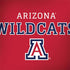 University of Arizona Wildcats Red Dell Inspiron Skin